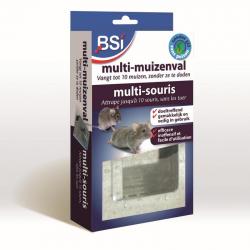 BSI Multi-Muizenval | 1 st.